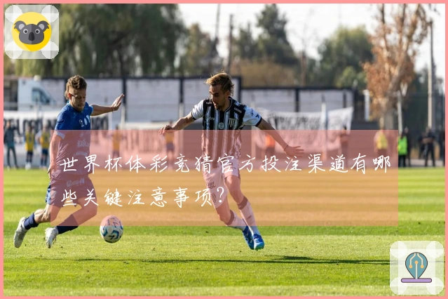世界杯体彩竞猜官方投注渠道有哪些关键注意事项？