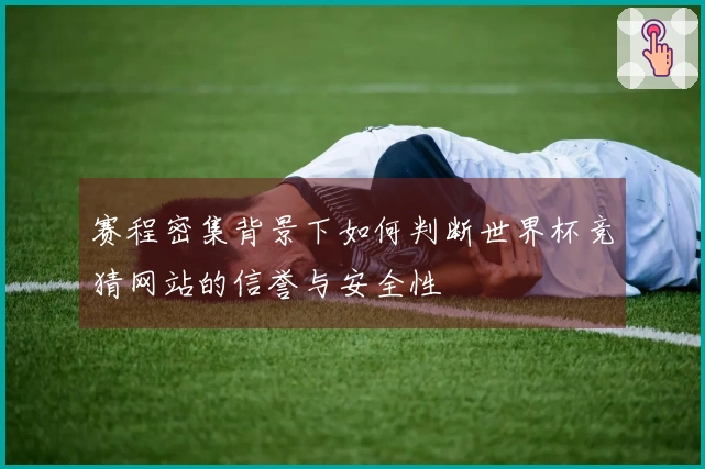 赛程密集背景下如何判断世界杯竞猜网站的信誉与安全性