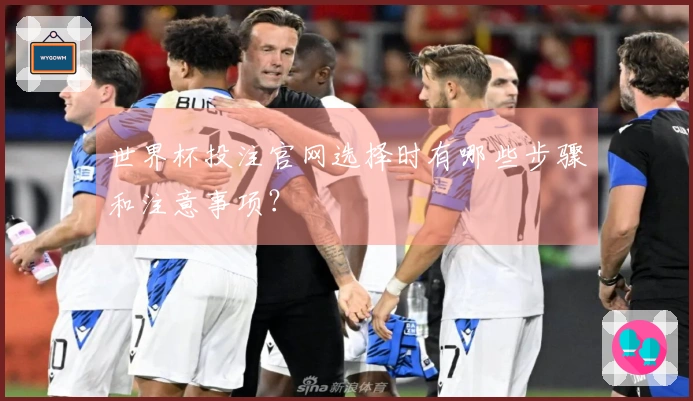 世界杯投注官网选择时有哪些步骤和注意事项？