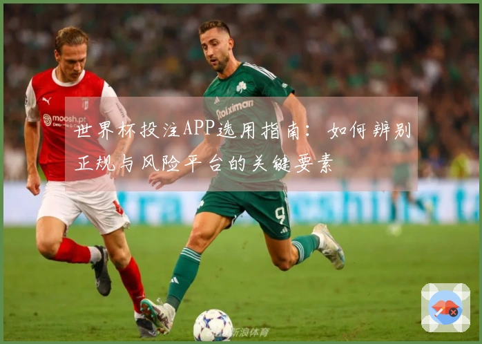 世界杯投注APP选用指南：如何辨别正规与风险平台的关键要素