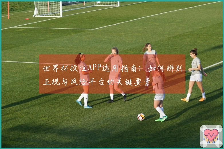 世界杯投注APP选用指南：如何辨别正规与风险平台的关键要素
